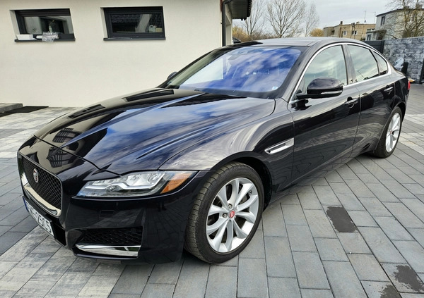 Jaguar XF cena 82900 przebieg: 53500, rok produkcji 2016 z Łódź małe 92